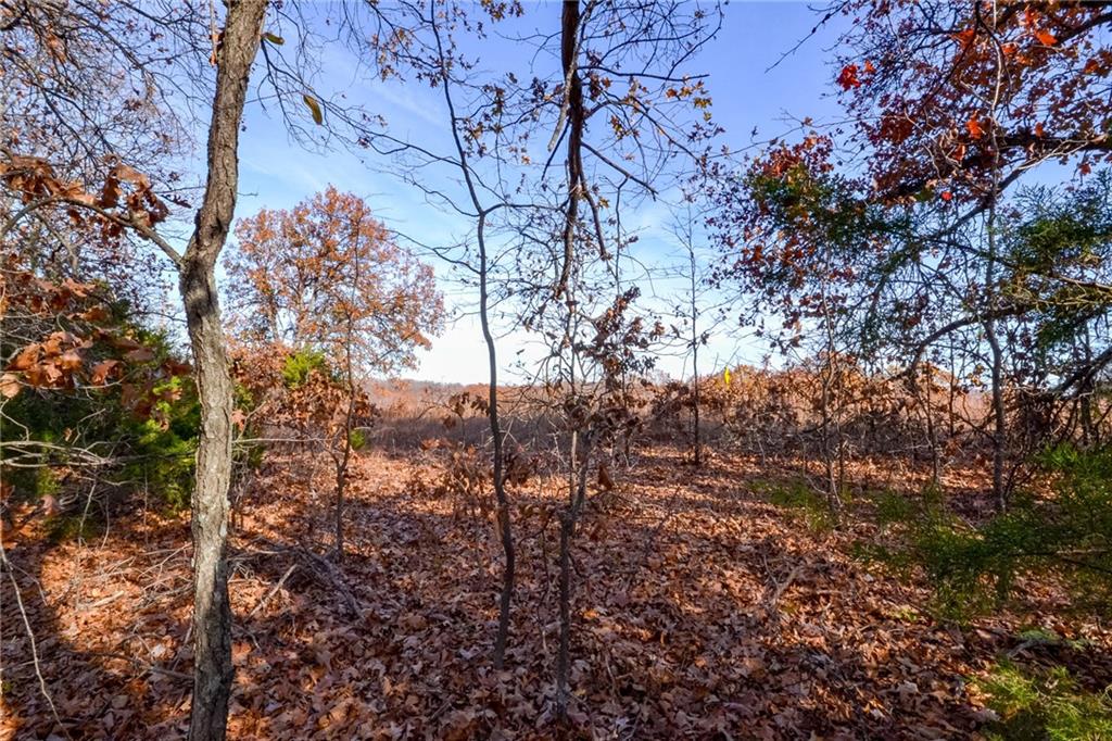 001 S Highway Aa N/a Property Photo 17