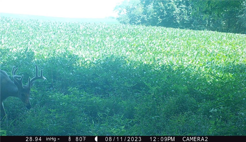 27760 Y Highway Property Photo 42