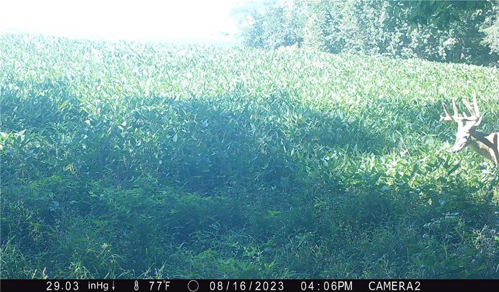 27860 Y Highway Property Photo 39