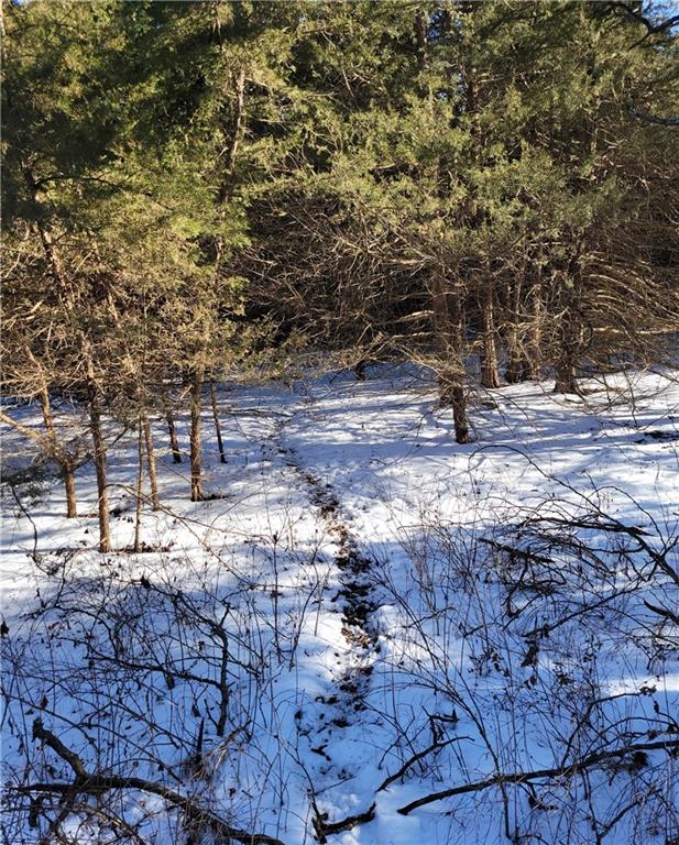 27860 Y Highway Property Photo 73