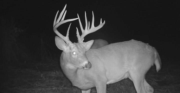 4870 S 3580 Road Property Photo 24