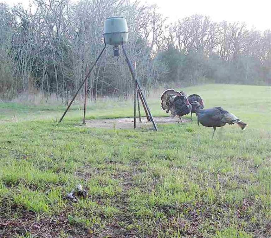 4870 S 3580 Road Property Photo 26