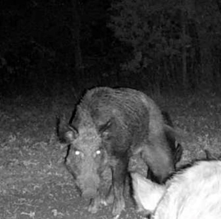 4870 S 3580 Road Property Photo 27