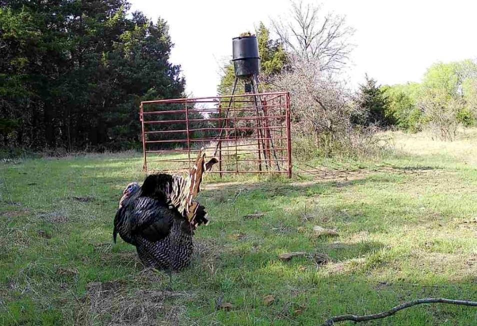 4870 S 3580 Road Property Photo 28