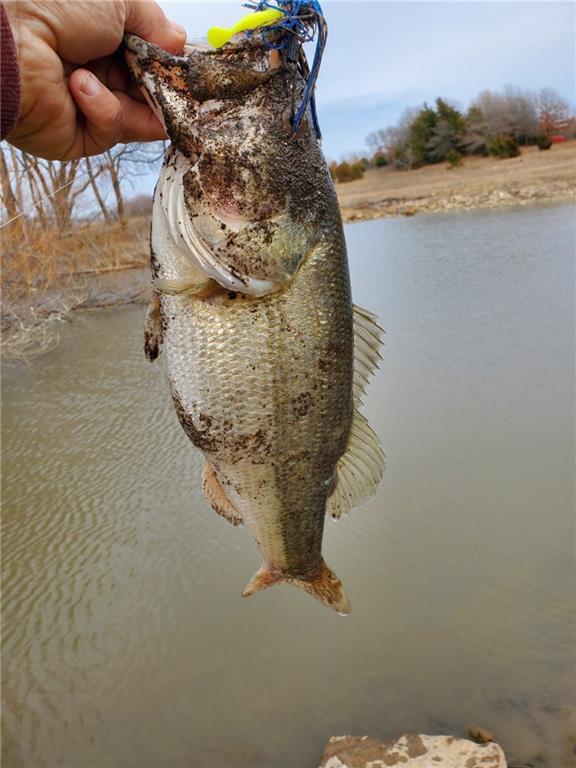 4870 S 3580 Road Property Photo 29