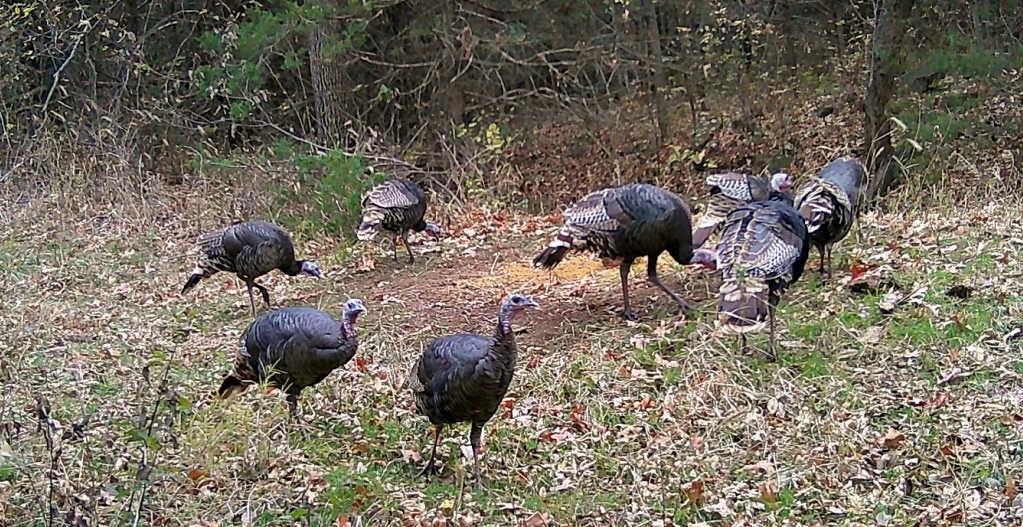 4870 S 3580 Road Property Photo 30