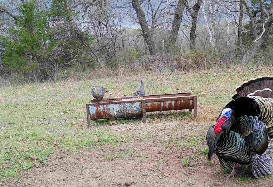 4870 S 3580 Road Property Photo 31