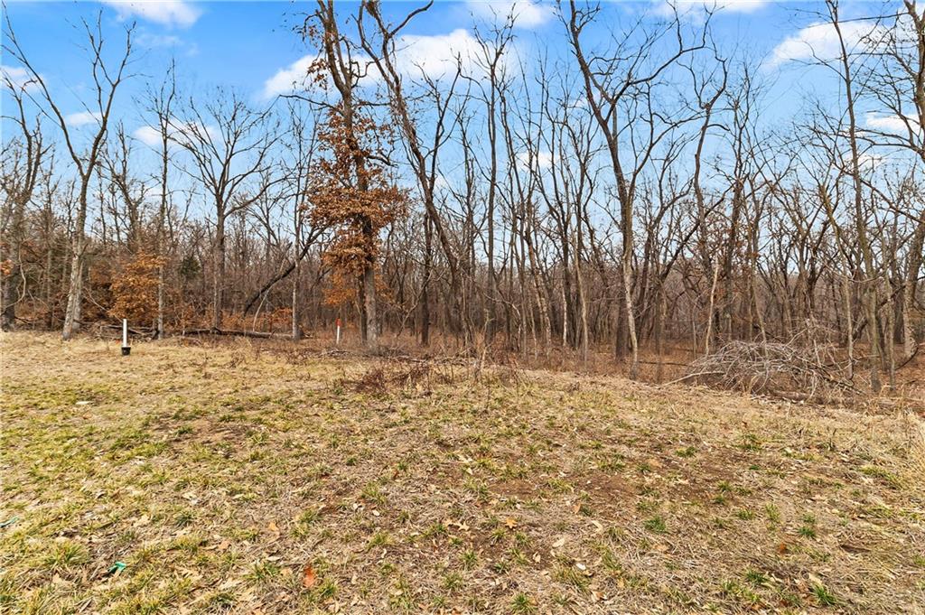 16917 Wallace Way Property Photo 1