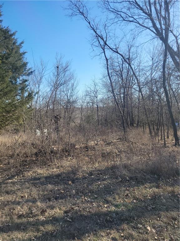 102 Maple Drive Property Photo 1