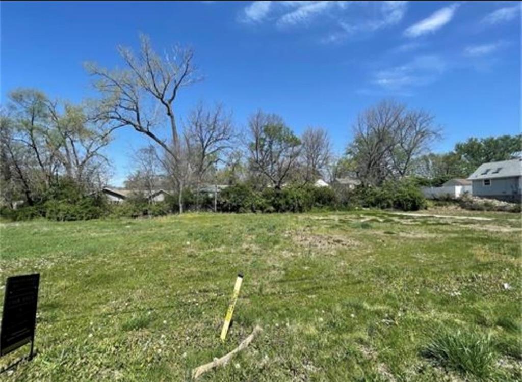 1118 E 85th Street Property Photo