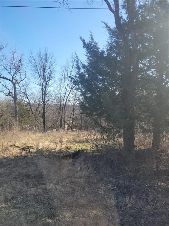 98 Maple Drive Property Photo 2