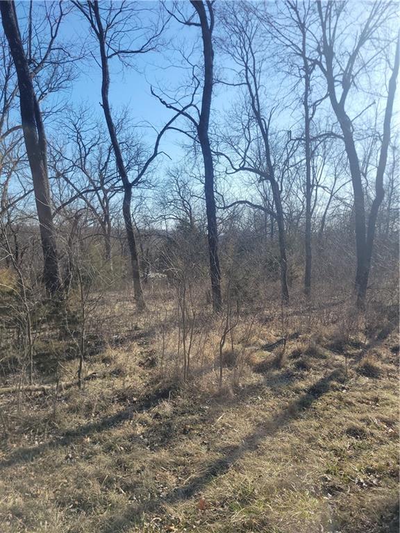98 Maple Drive Property Photo 5