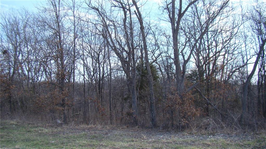 Kite Road Property Photo