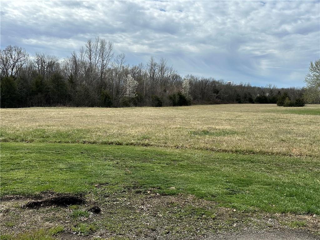 0000 Hilltop Drive Property Photo 2