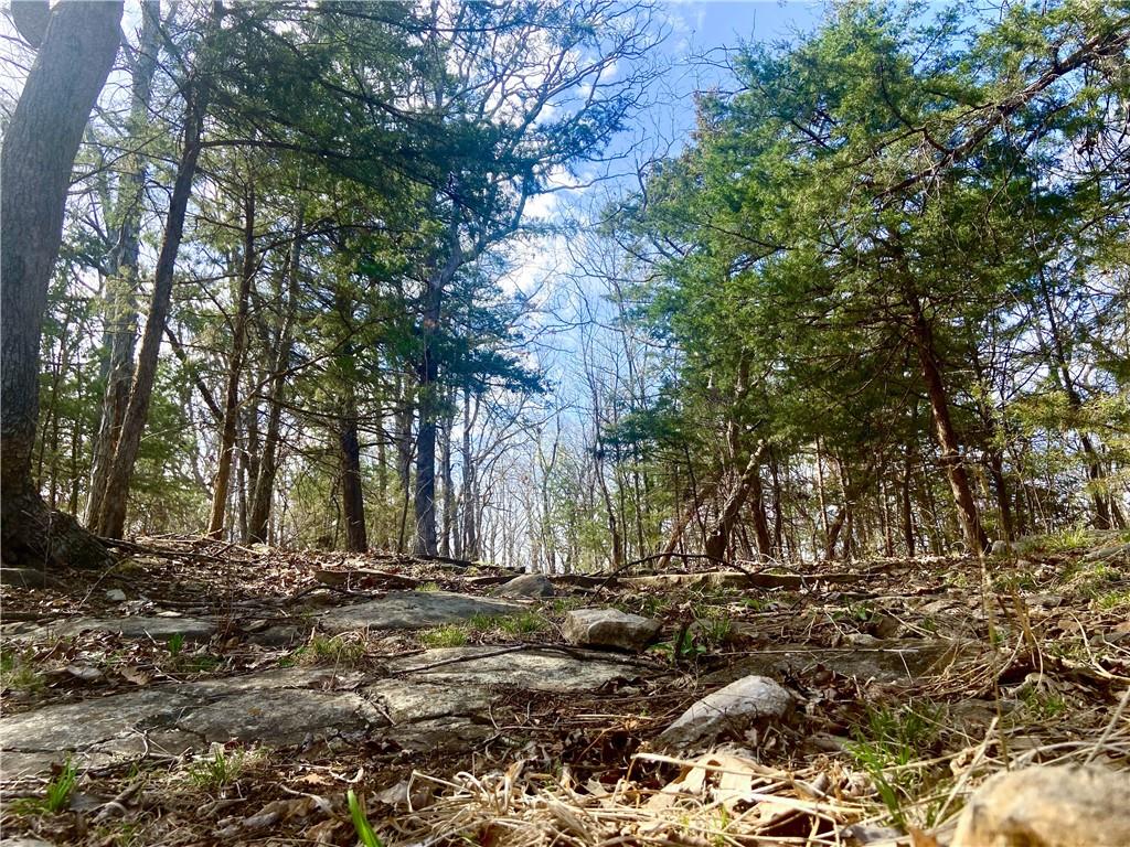 Tbd Ne 779 Road Property Photo