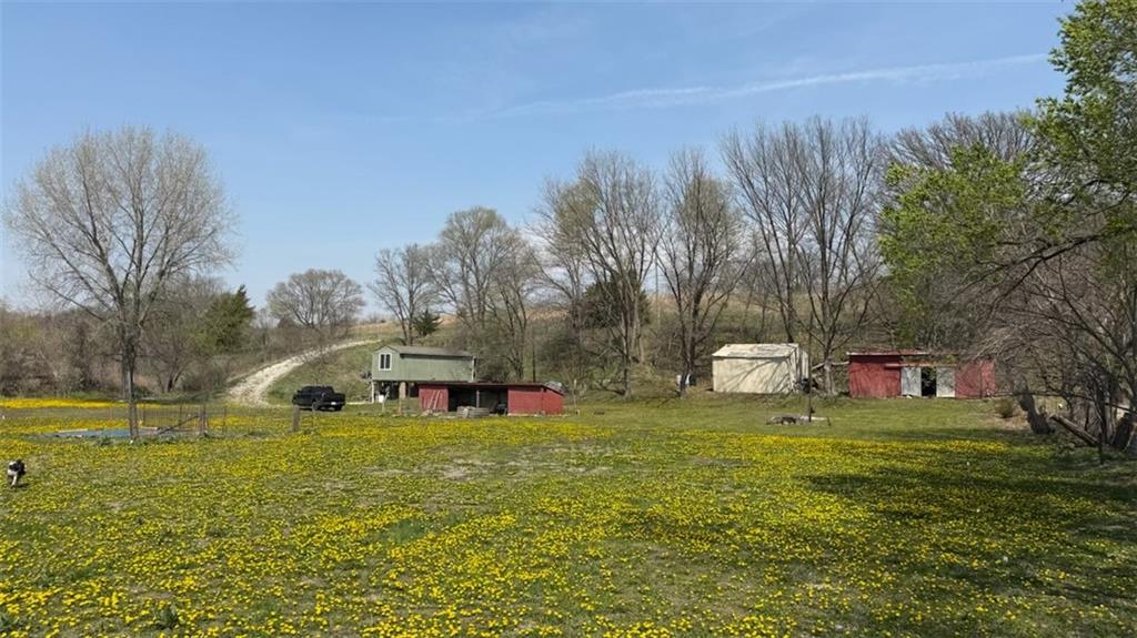 14424 County Road 402 Road Property Photo 17