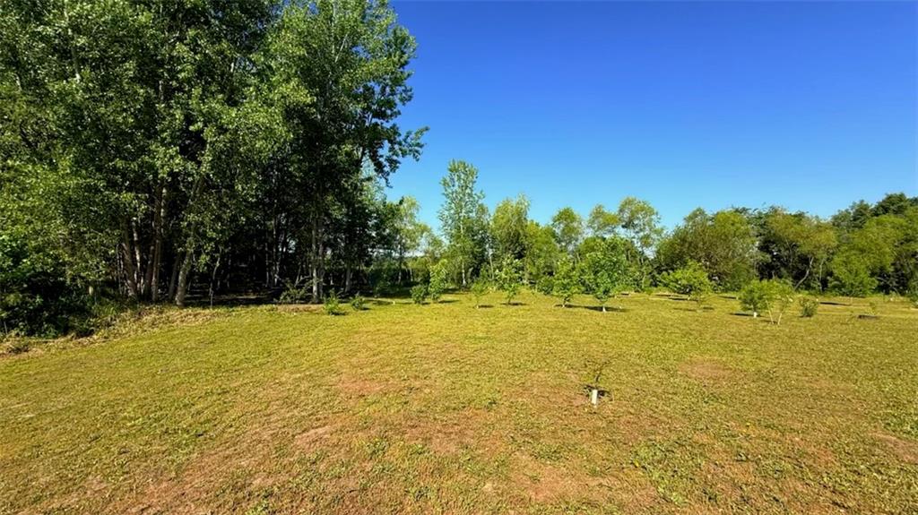14424 County Road 402 Road Property Photo 26