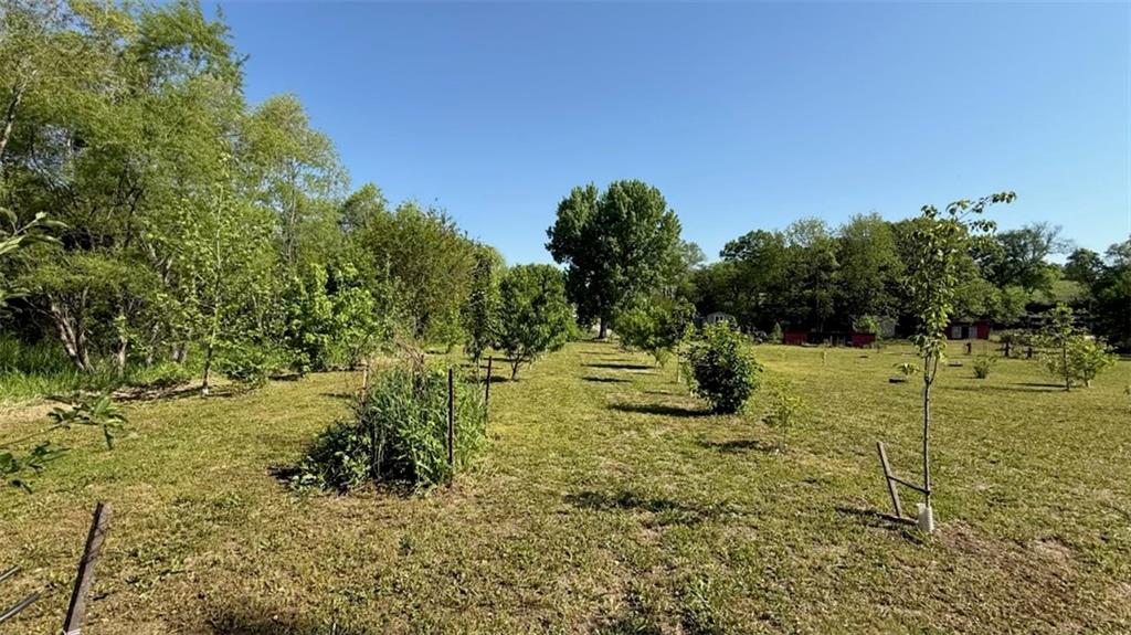 14424 County Road 402 Road Property Photo 28