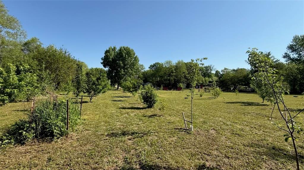 14424 County Road 402 Road Property Photo 32