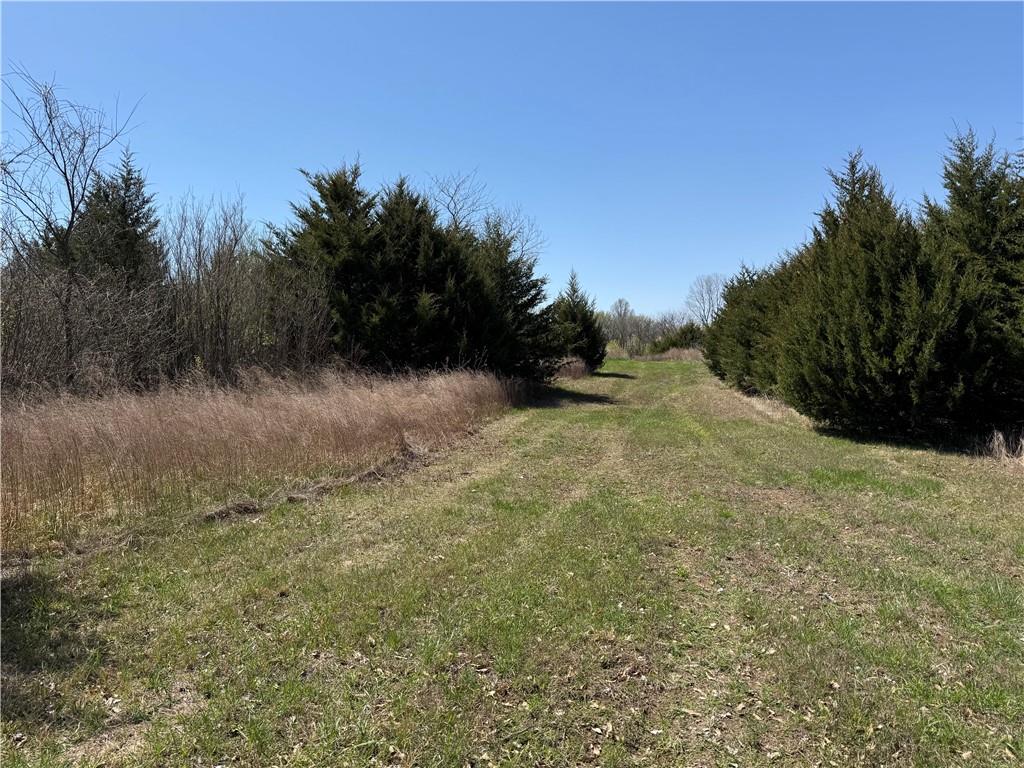 Bethel Road Property Photo