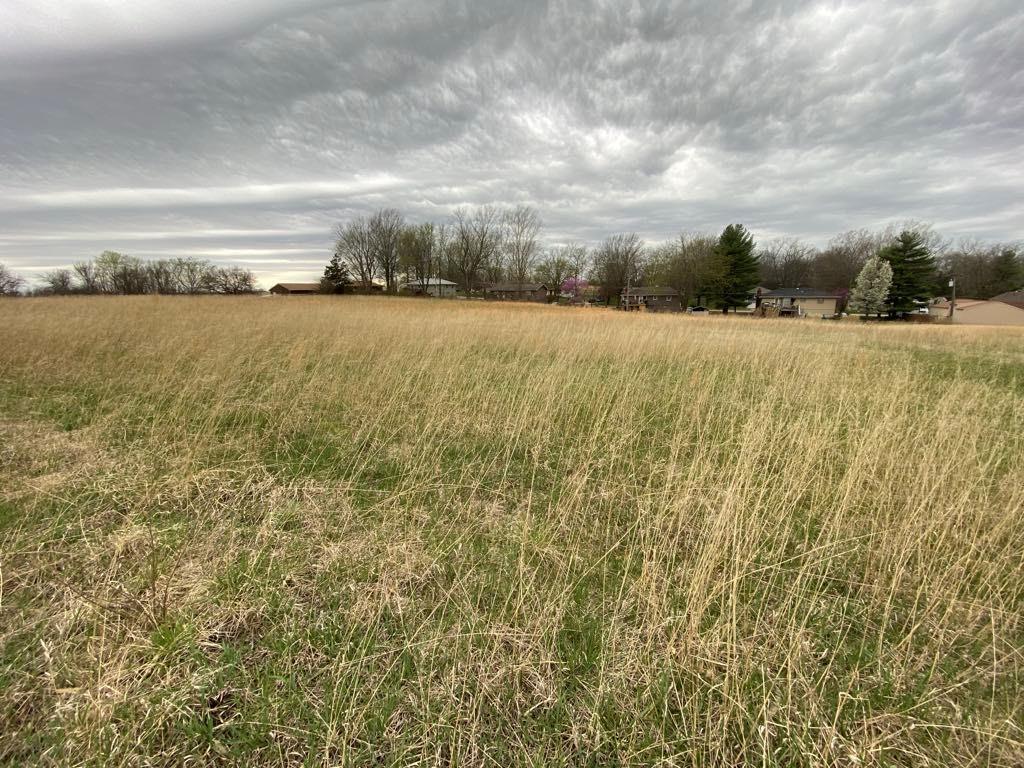 Raymore Street Property Photo