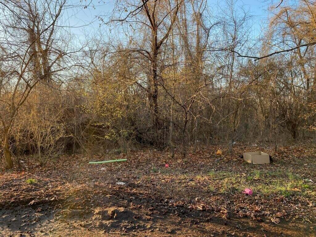 Xx N Ozark Avenue Property Photo