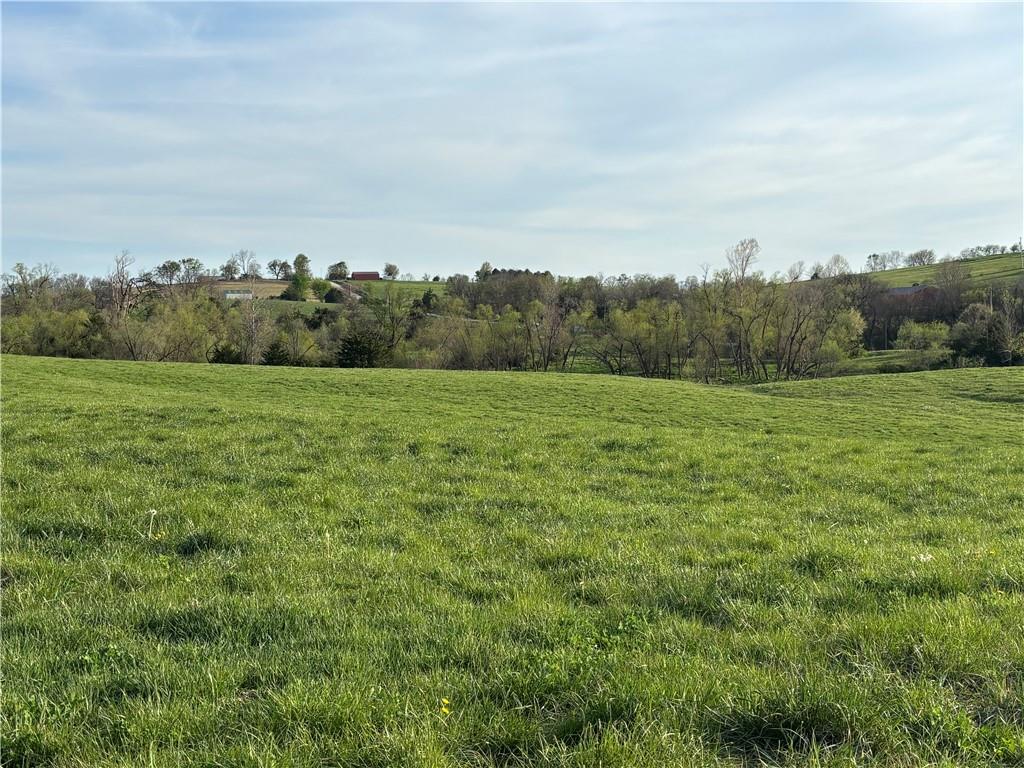 Se 95th Road Property Photo 16