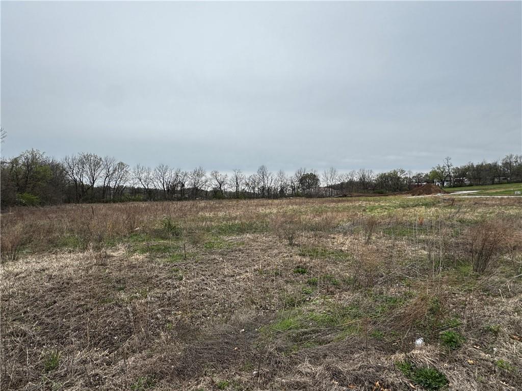 Lot 8 Cowgirl Lane Property Photo