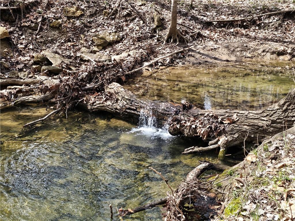 County Road 407 Road Property Photo 5
