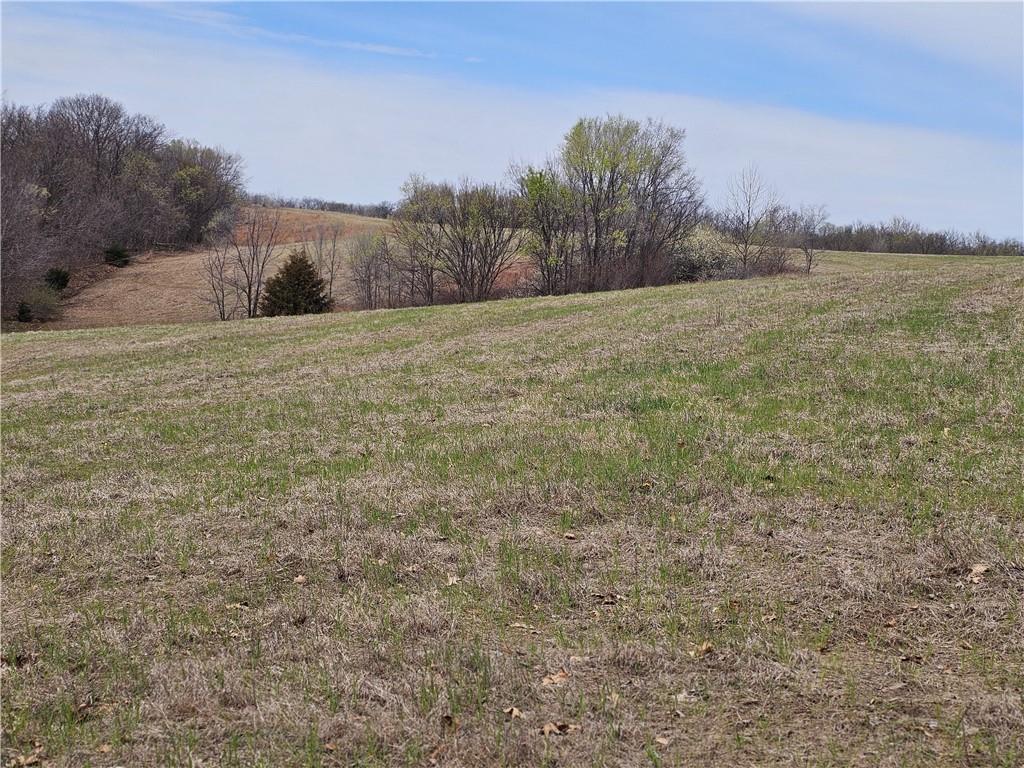 County Road 407 Road Property Photo 7