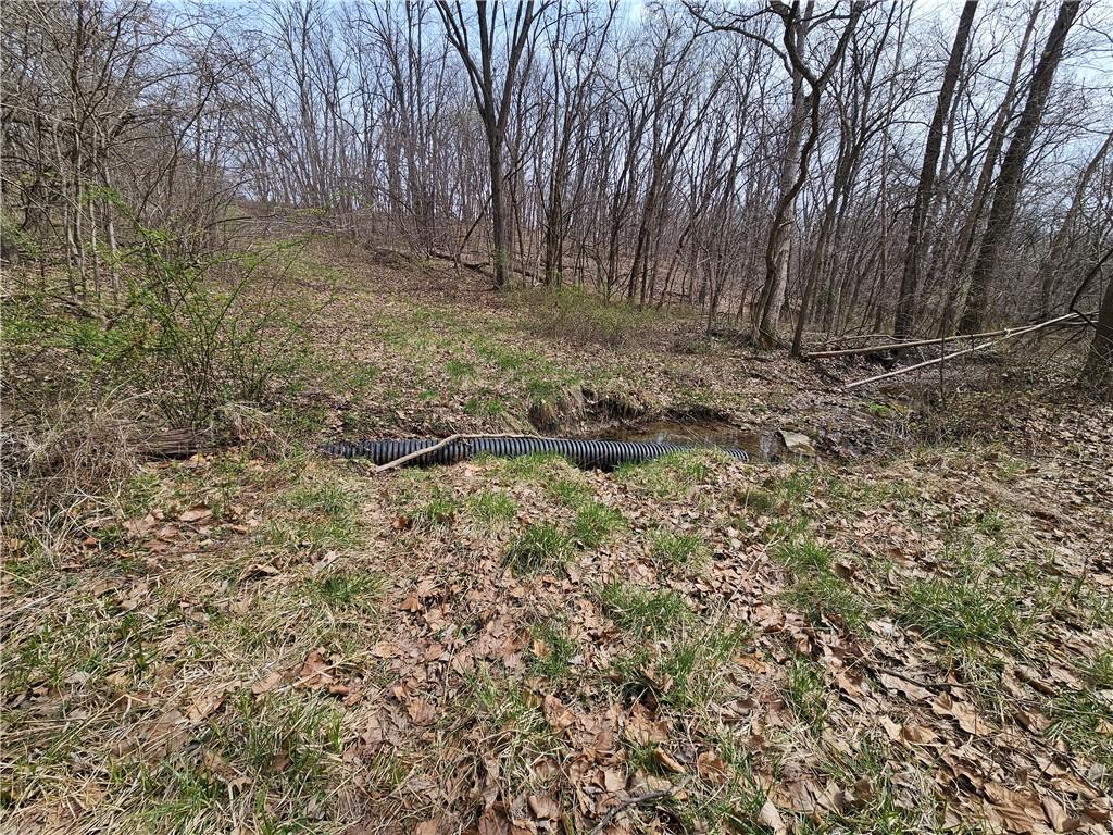 County Road 407 Road Property Photo 9
