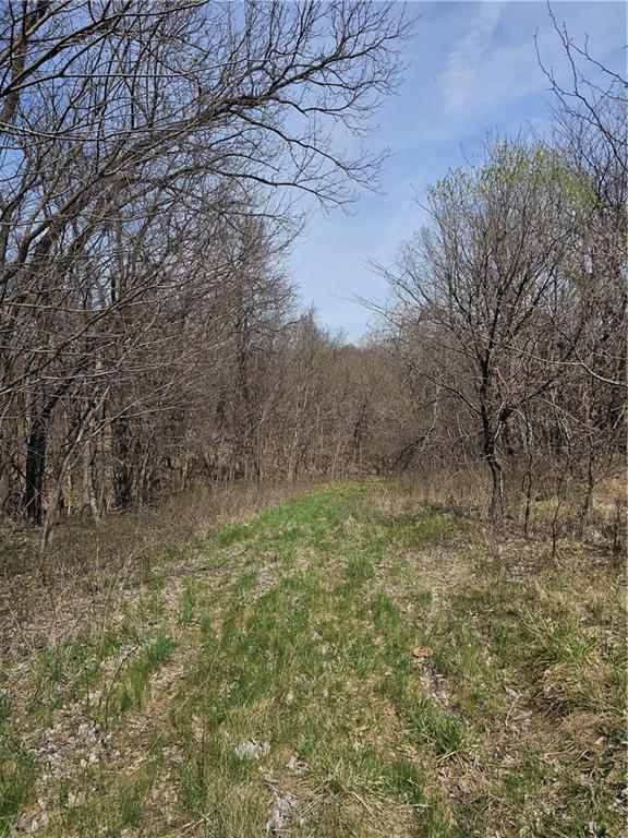 County Road 407 Road Property Photo 11