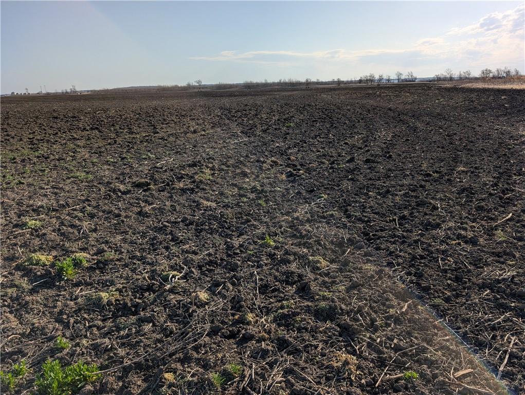 Holt 130 Road Property Photo 24