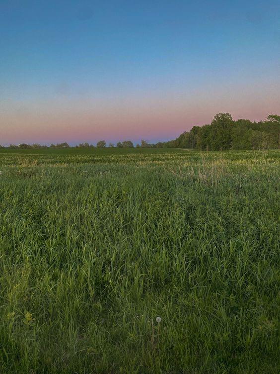 Lot 1 State Route W Highway Property Photo