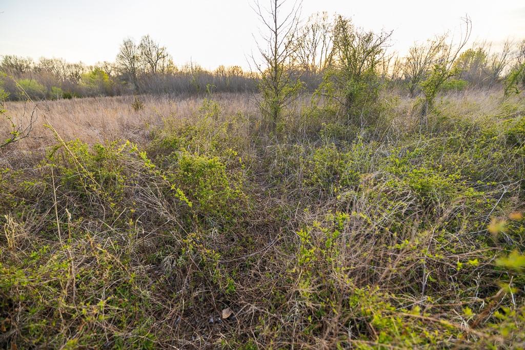 14310 E State Route A Highway Property Photo 74