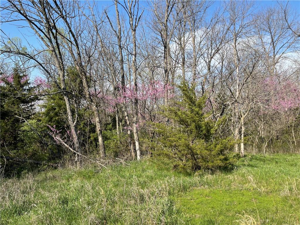 E 235th Street Property Photo