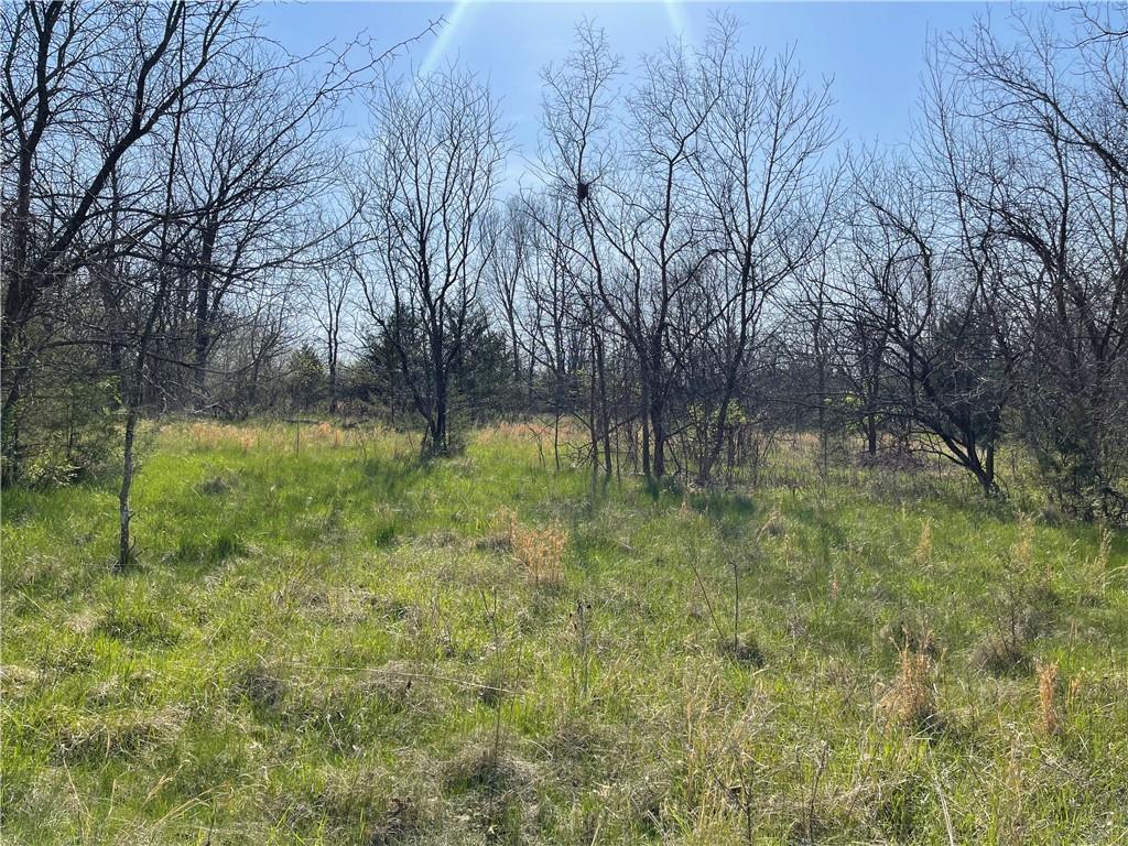 E 235th Street Property Photo 6