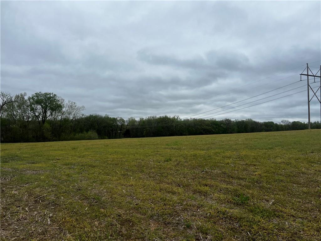 Elm Grove Road Property Photo 1