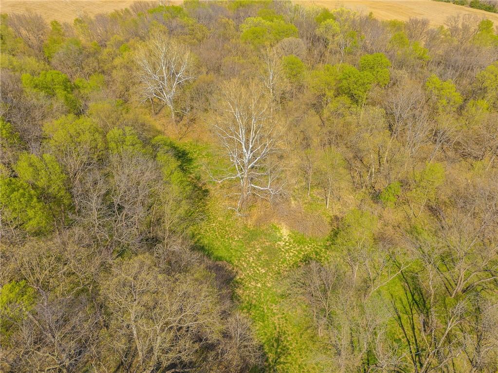 5009 Highway 59 Highway Property Photo 25