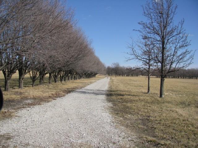2723 Kingman Road Property Photo 19
