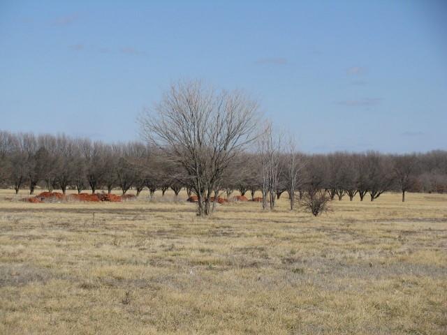 2723 Kingman Road Property Photo 20
