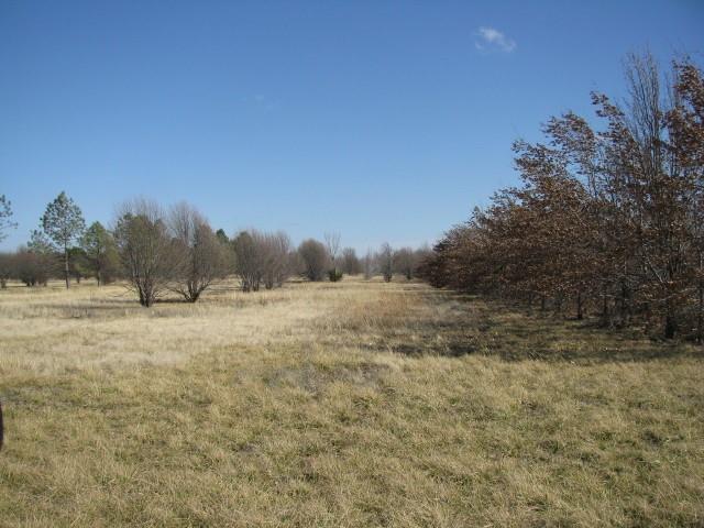 2723 Kingman Road Property Photo 23