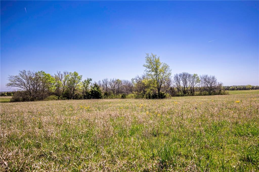 841 69 Highway Property Photo 8