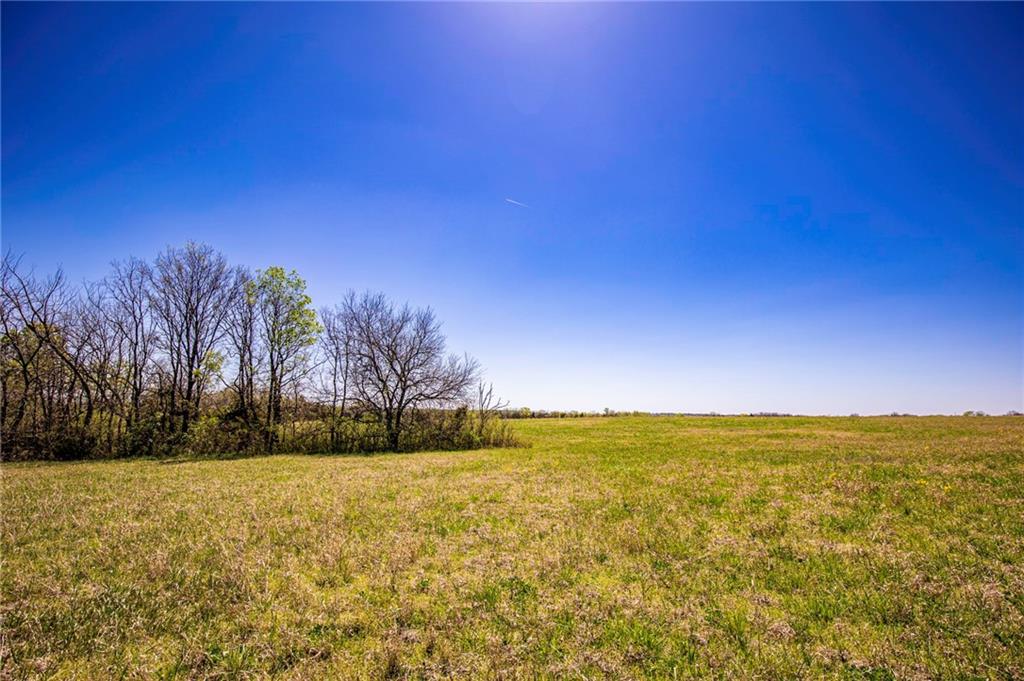 841 69 Highway Property Photo 19