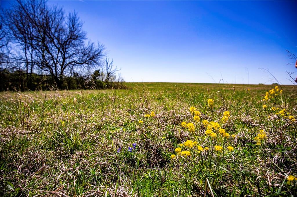 841 69 Highway Property Photo 20