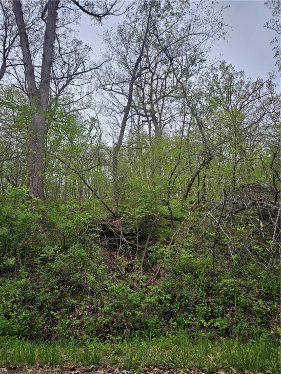 Lot 47 - 48 Park Lane Property Photo
