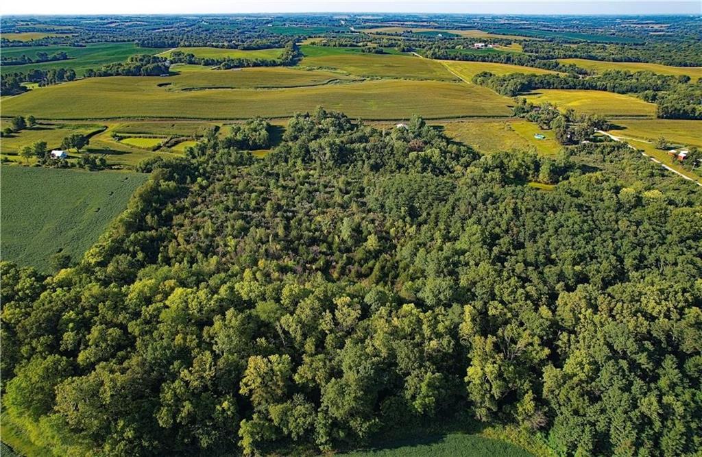 Woodruff Road Property Photo