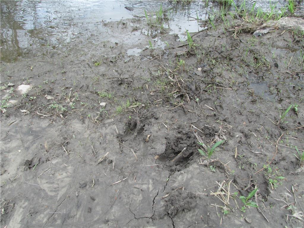 Ne Hinchey Lane Property Photo 9