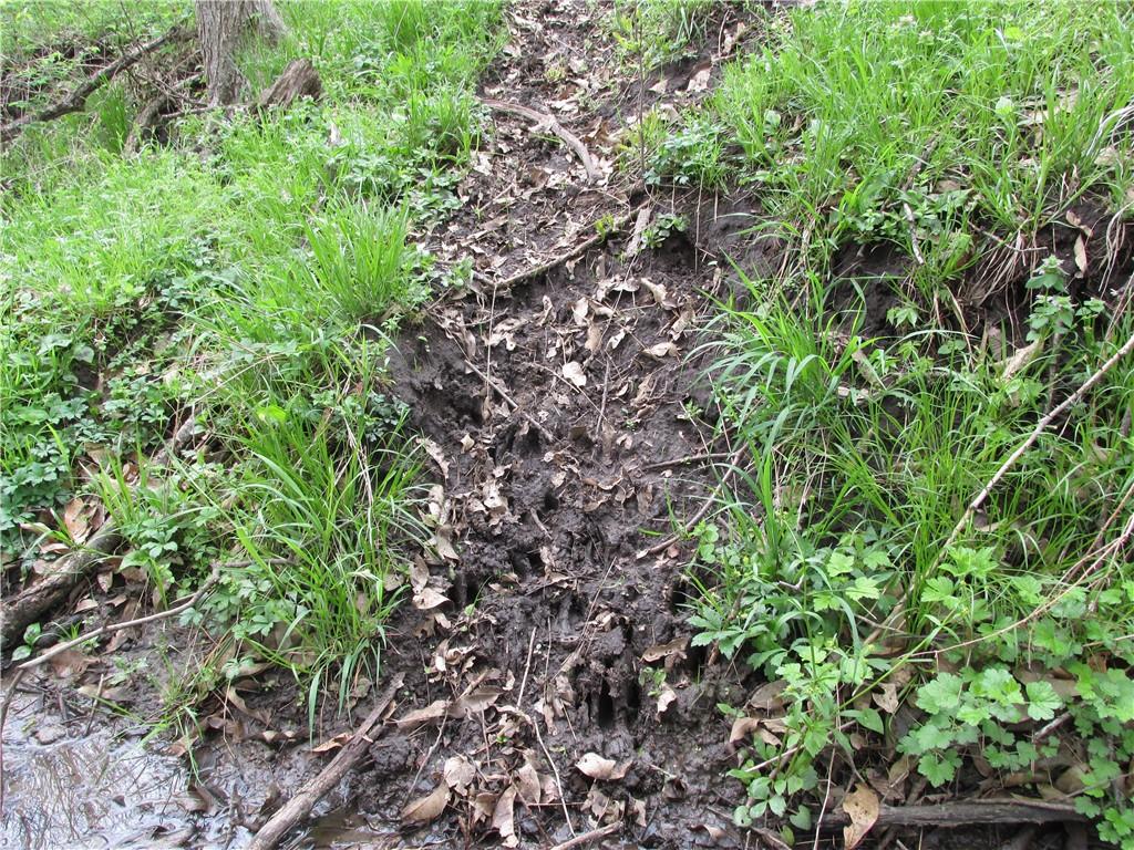 Ne Hinchey Lane Property Photo 10
