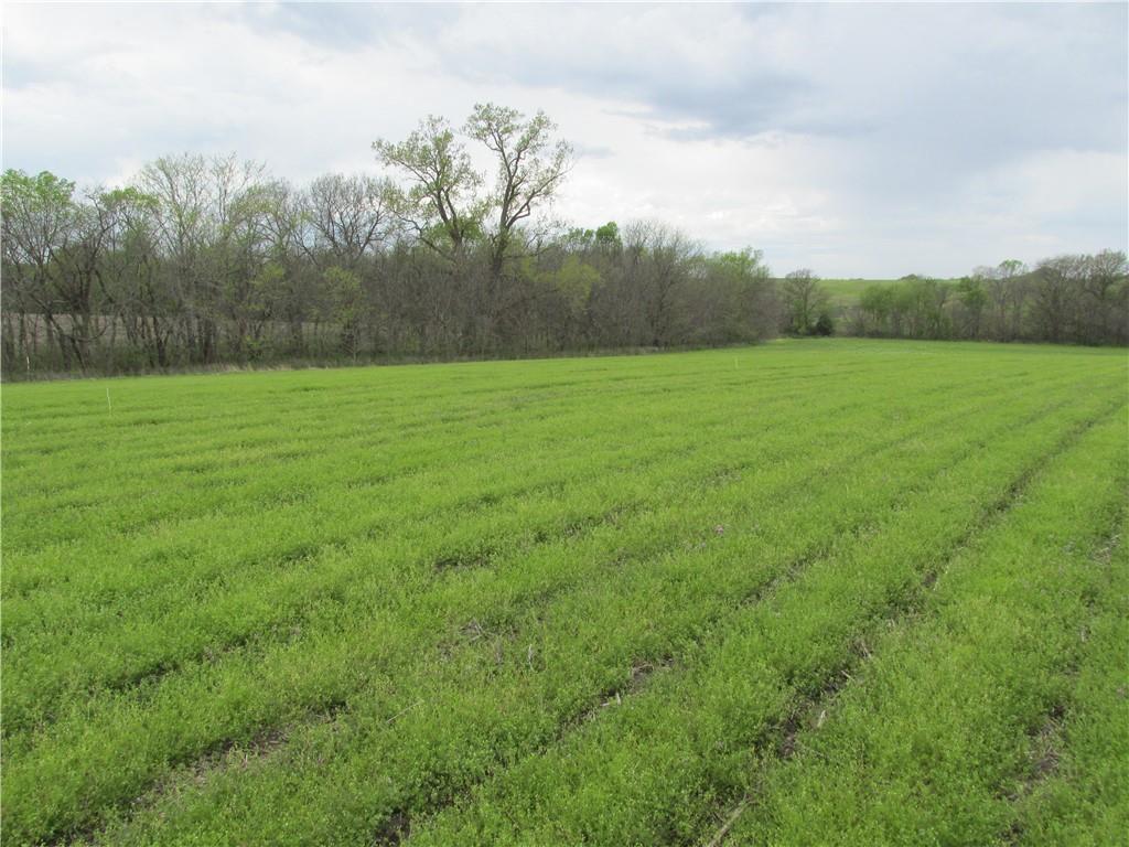Ne Hinchey Lane Property Photo 14